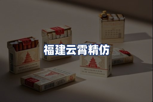 福建云霄精仿